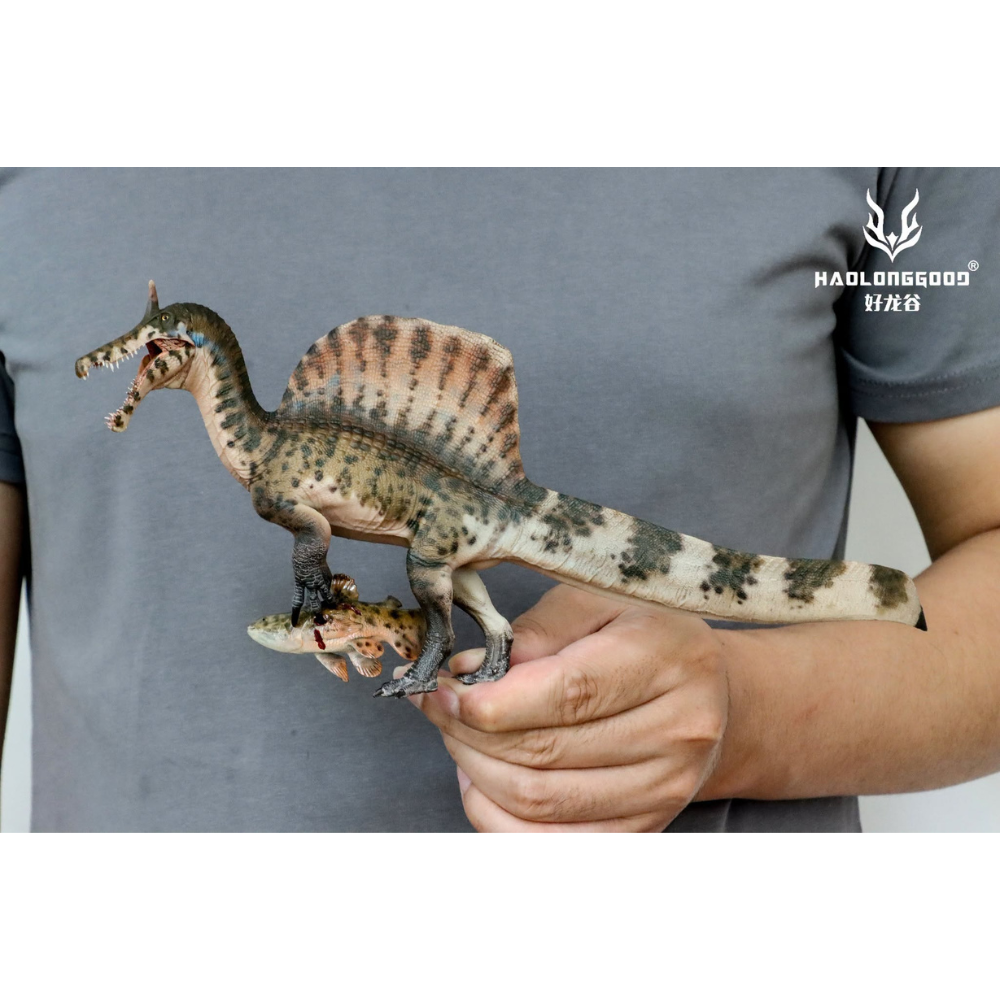 Haolonggood Spinosaurus mirabilis Heterochromatic