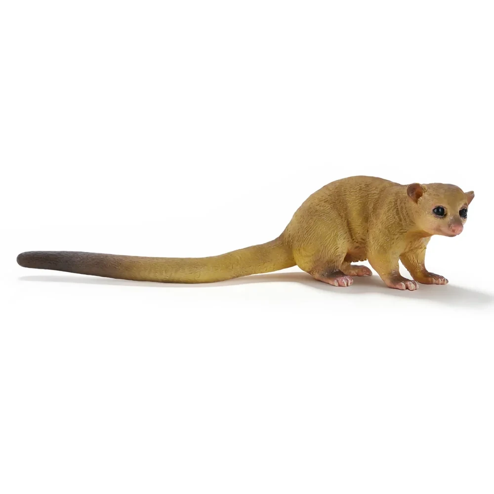 Toymany Kinkajou