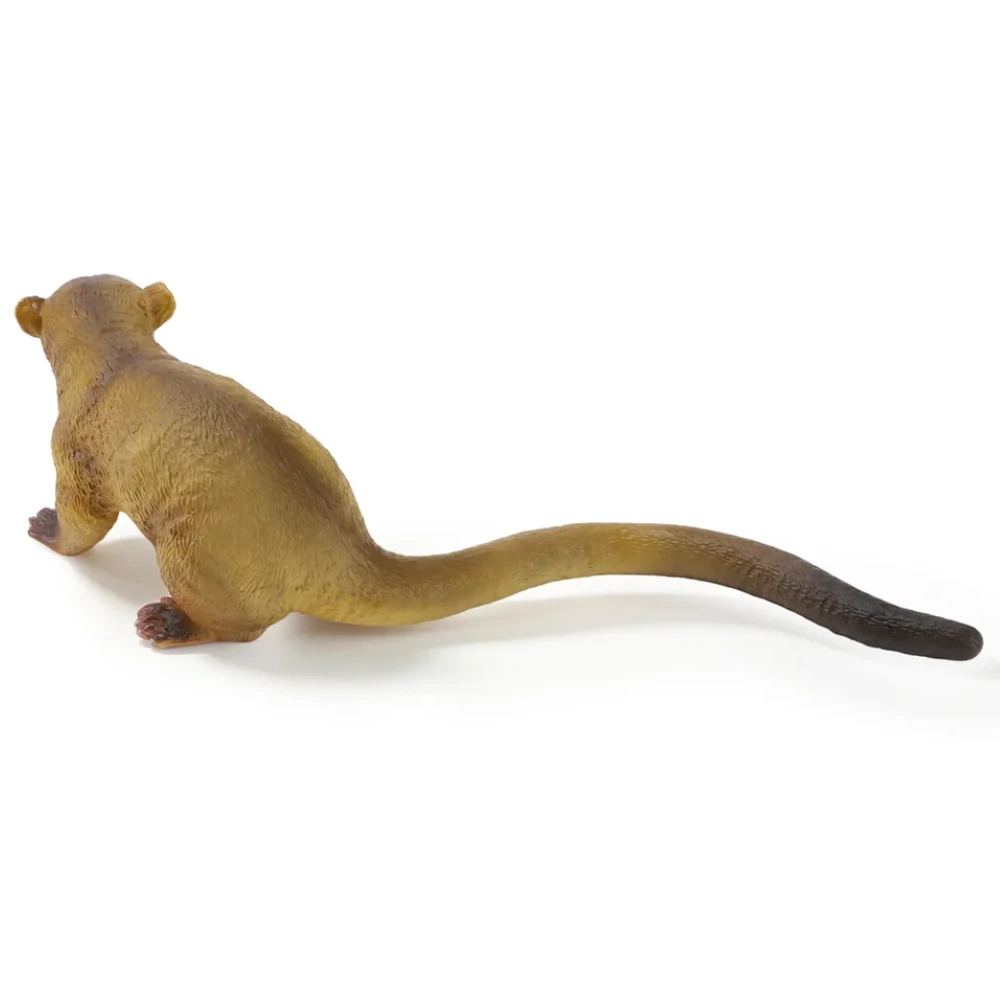 Toymany Kinkajou