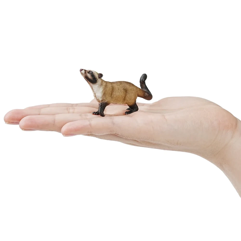 Toymany Asian Palm Civet
