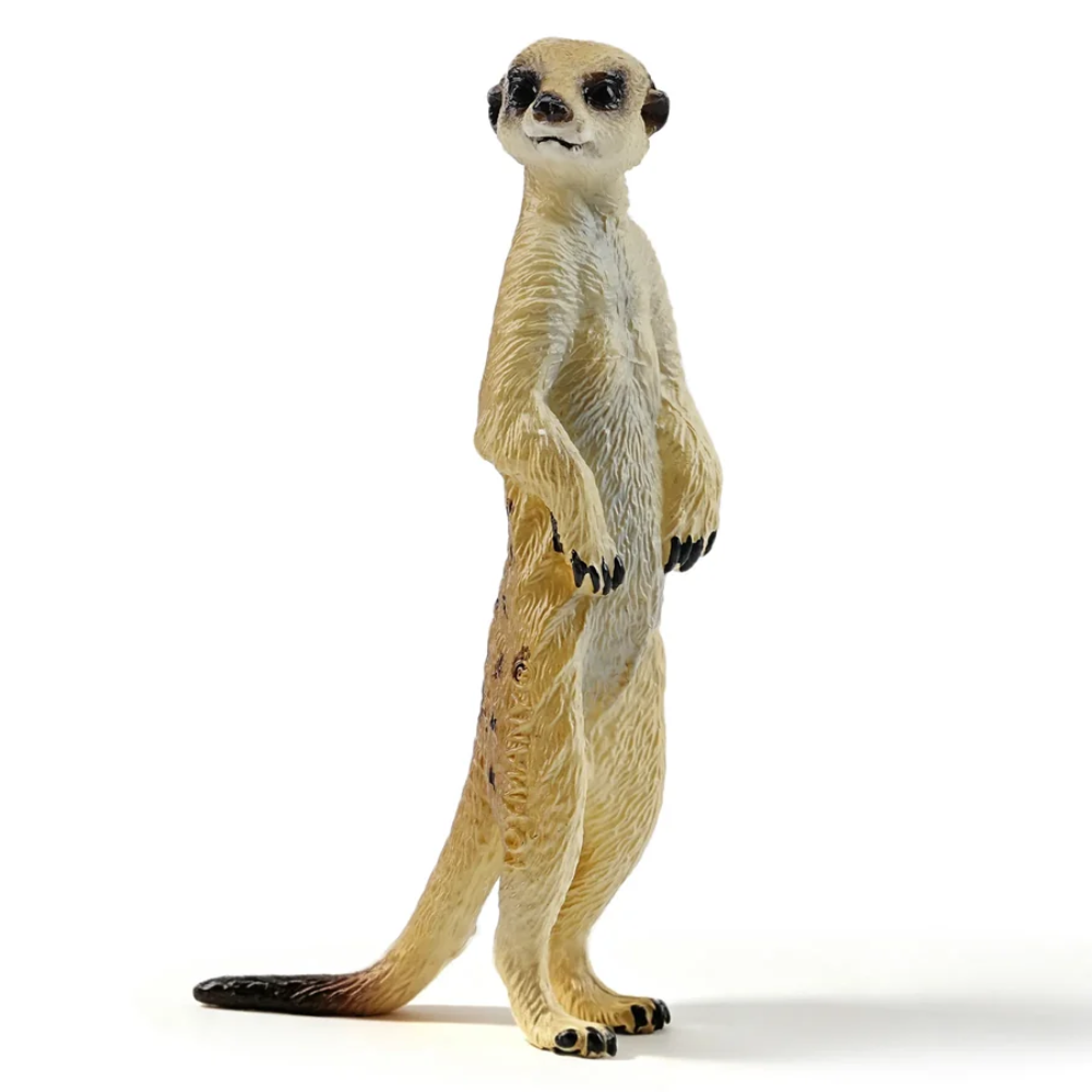 Toymany Meerkat