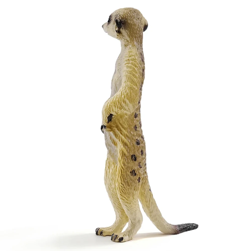 Toymany Meerkat