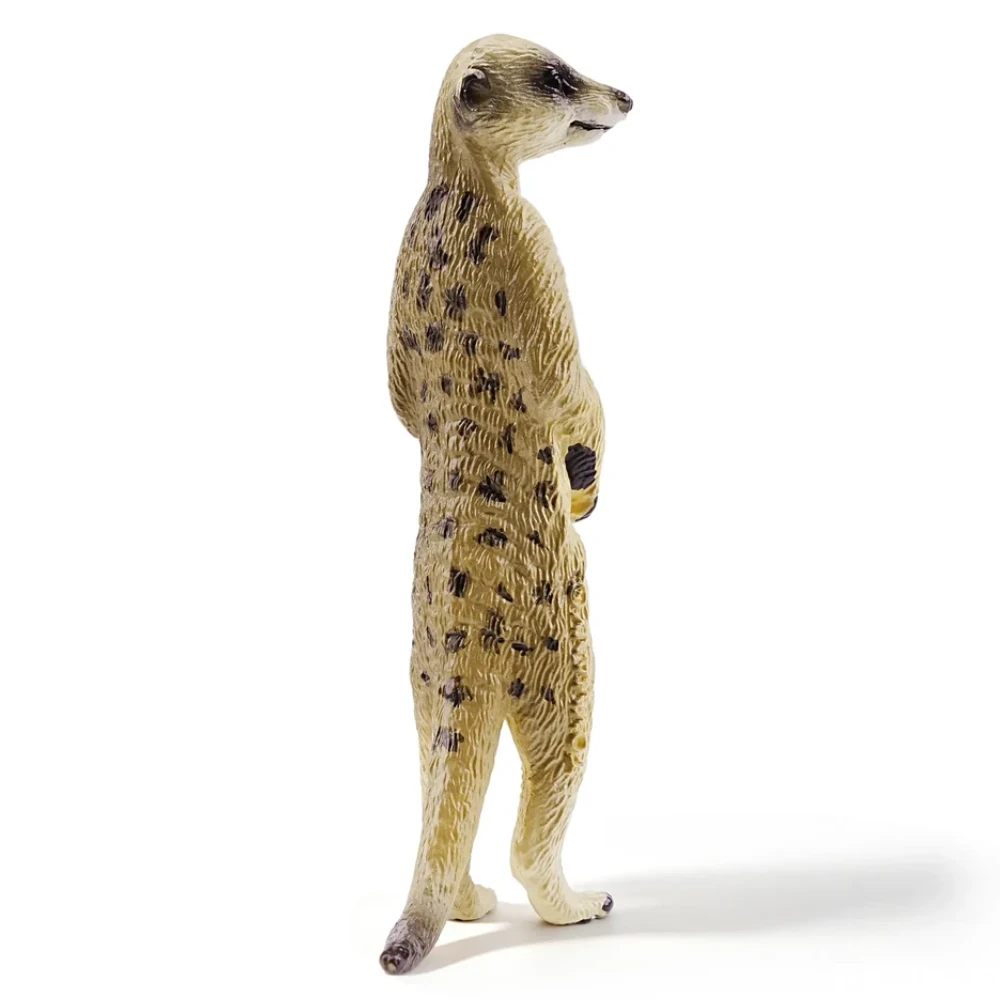 Toymany Meerkat