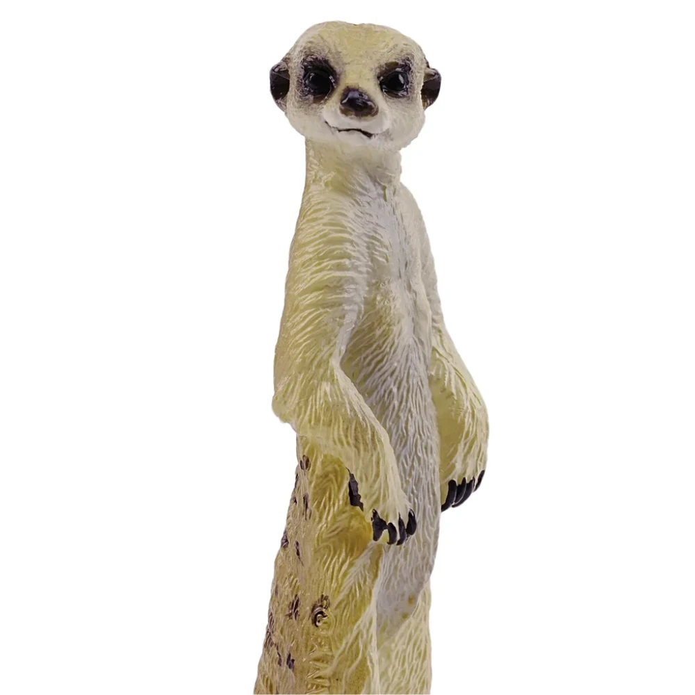 Toymany Meerkat