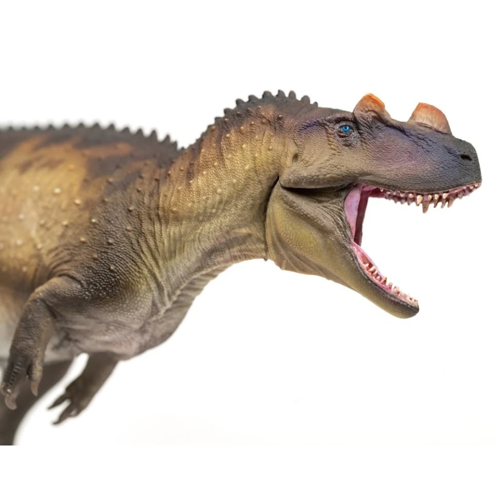 PNSO Nick the Ceratosaurus closeup