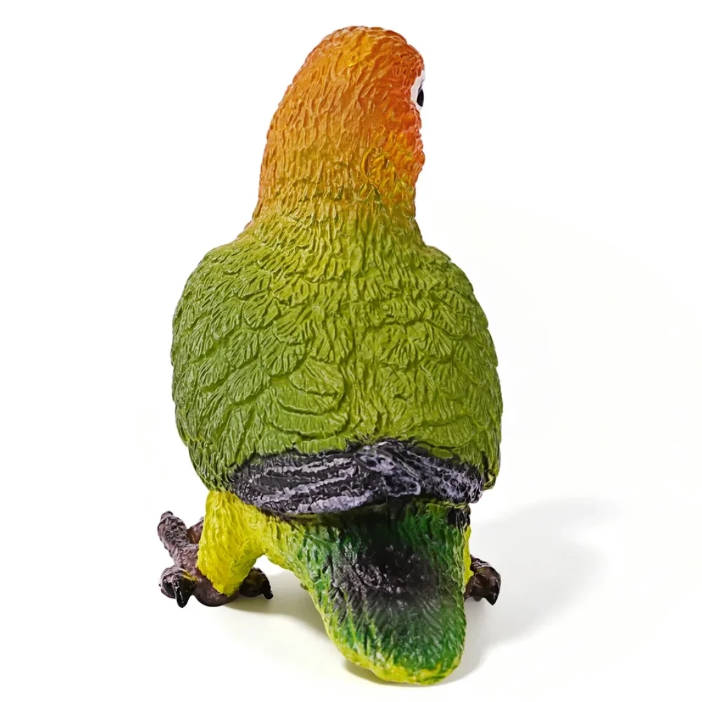Toymany Fischer's Lovebird back view