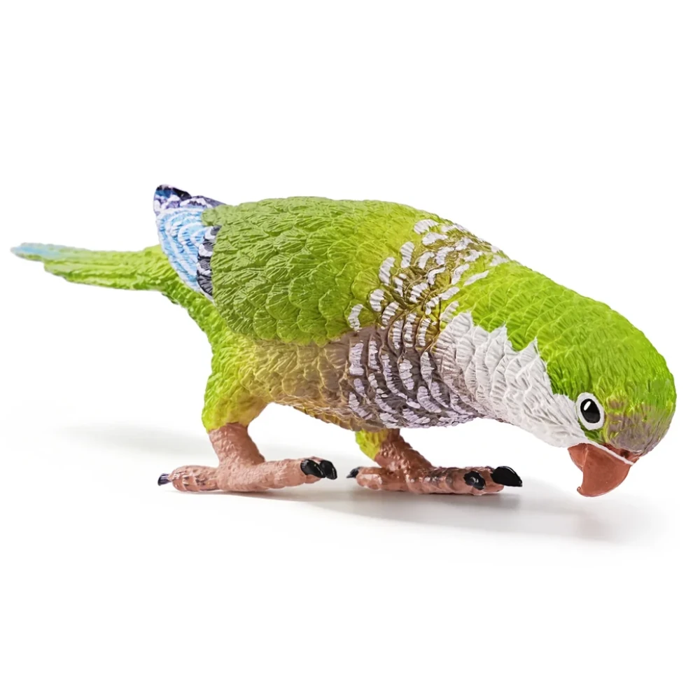 Toymany Monk Parakeet toy bird replica pecking