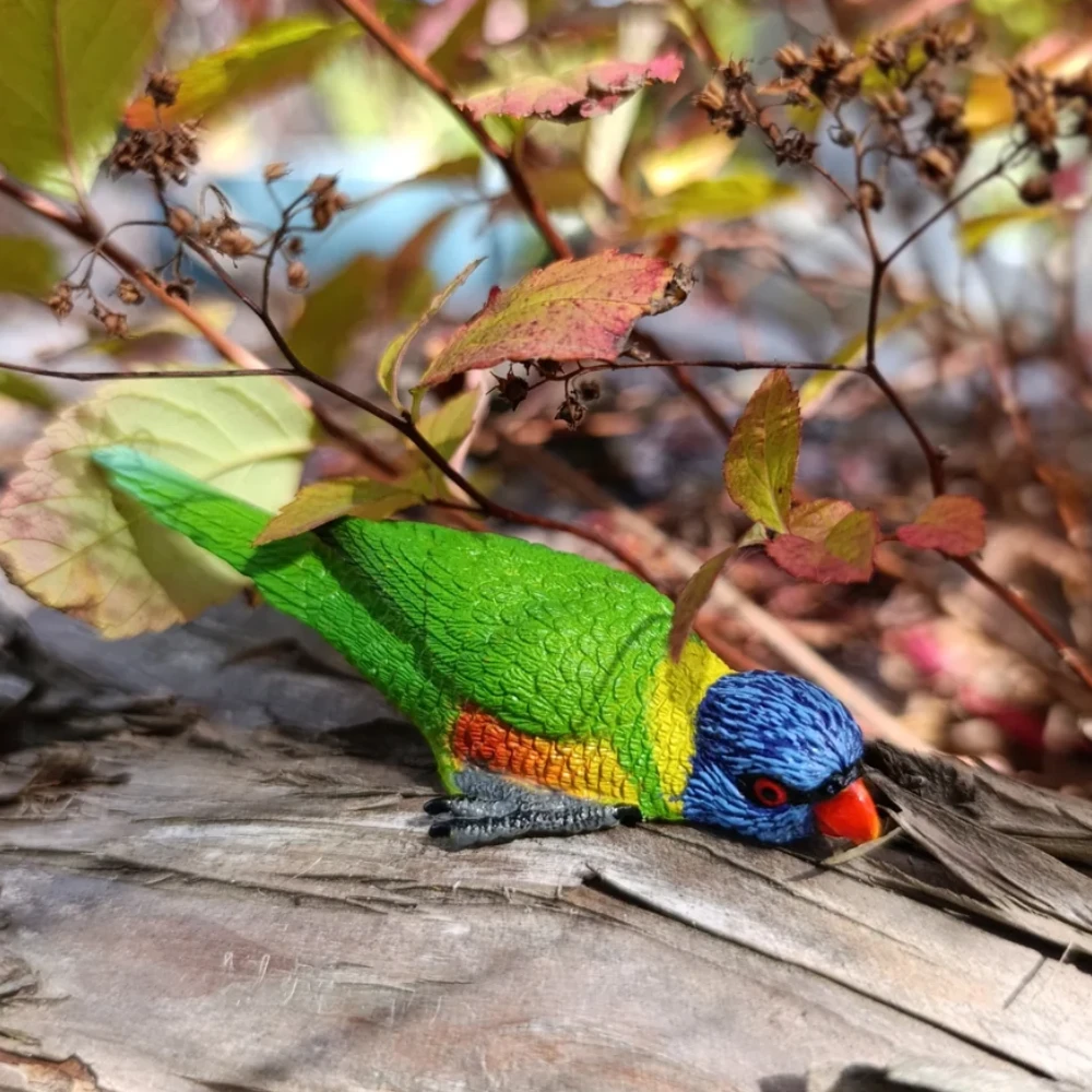 Toymany Rainbow Lorikeet toy figurine lifestyle