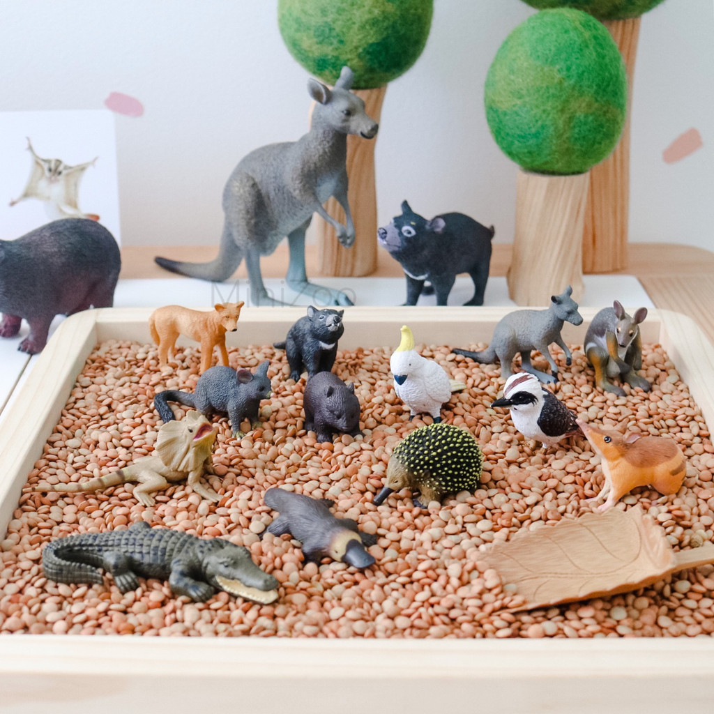 Science and Nature Small Cockatoo