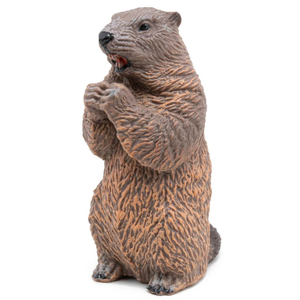 Papo Marmot