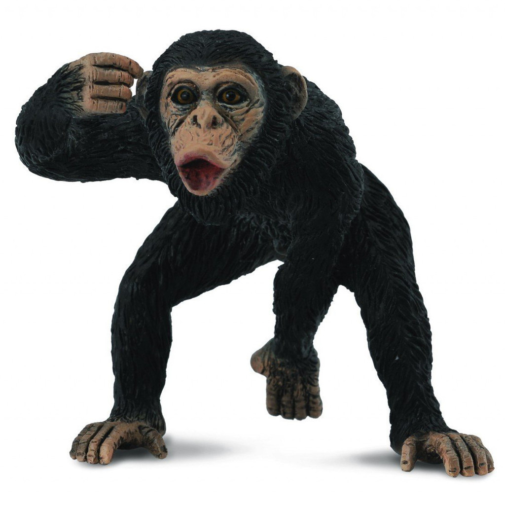 CollectA Chimpanzee Male