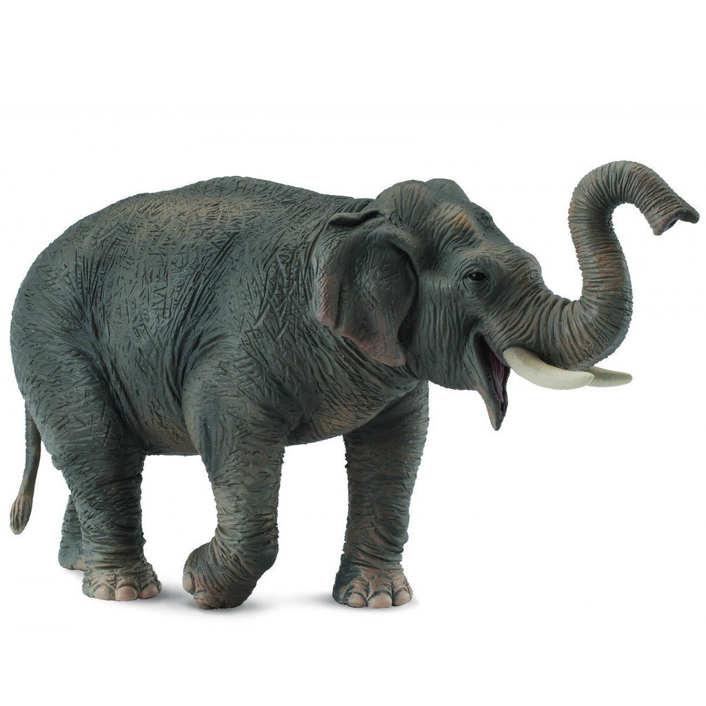 CollectA Asiatischer Elefant – Naturgetreue Spielzeugfigur Größe S Für Sammler Und Rollenspiele