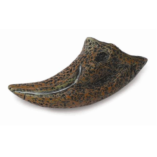 CollectA First Toe of T-Rex