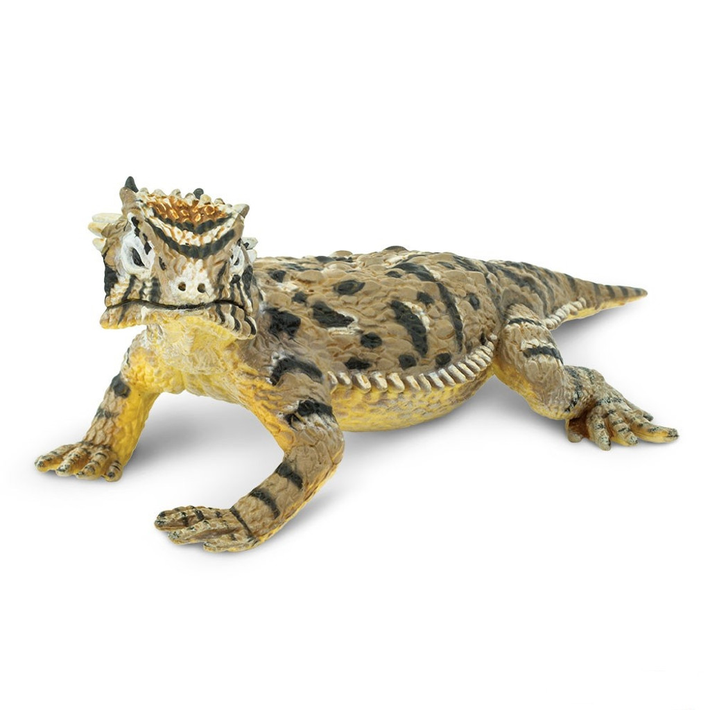 Safari Ltd Horned Lizard IC