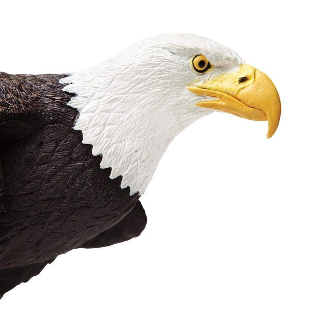 Safari Ltd Bald Eagle IC