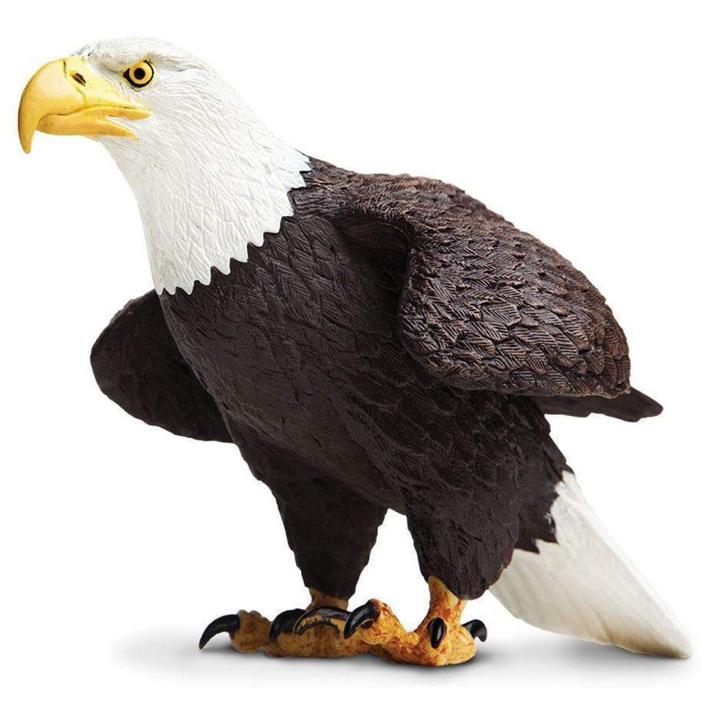 Safari Ltd Bald Eagle IC