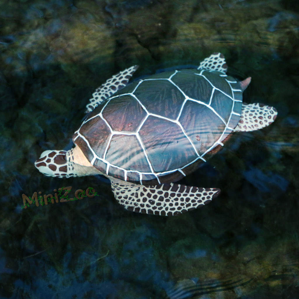 Safari Ltd Sea Turtle IC