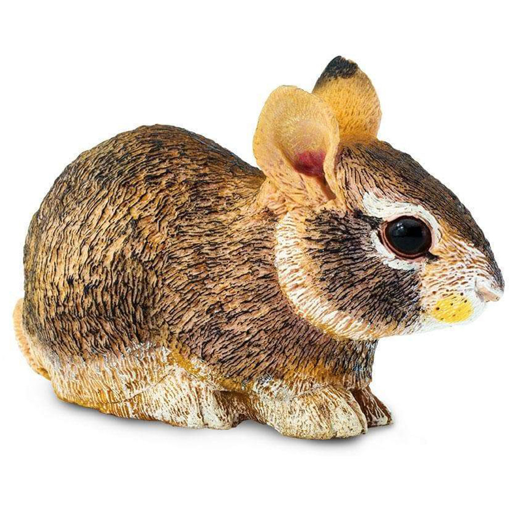 Safari Ltd Eastern Cottontail Rabbit Baby IC