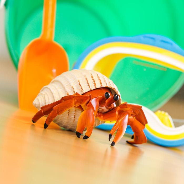 Safari Ltd Hermit Crab 267529 | Incredible Creatures