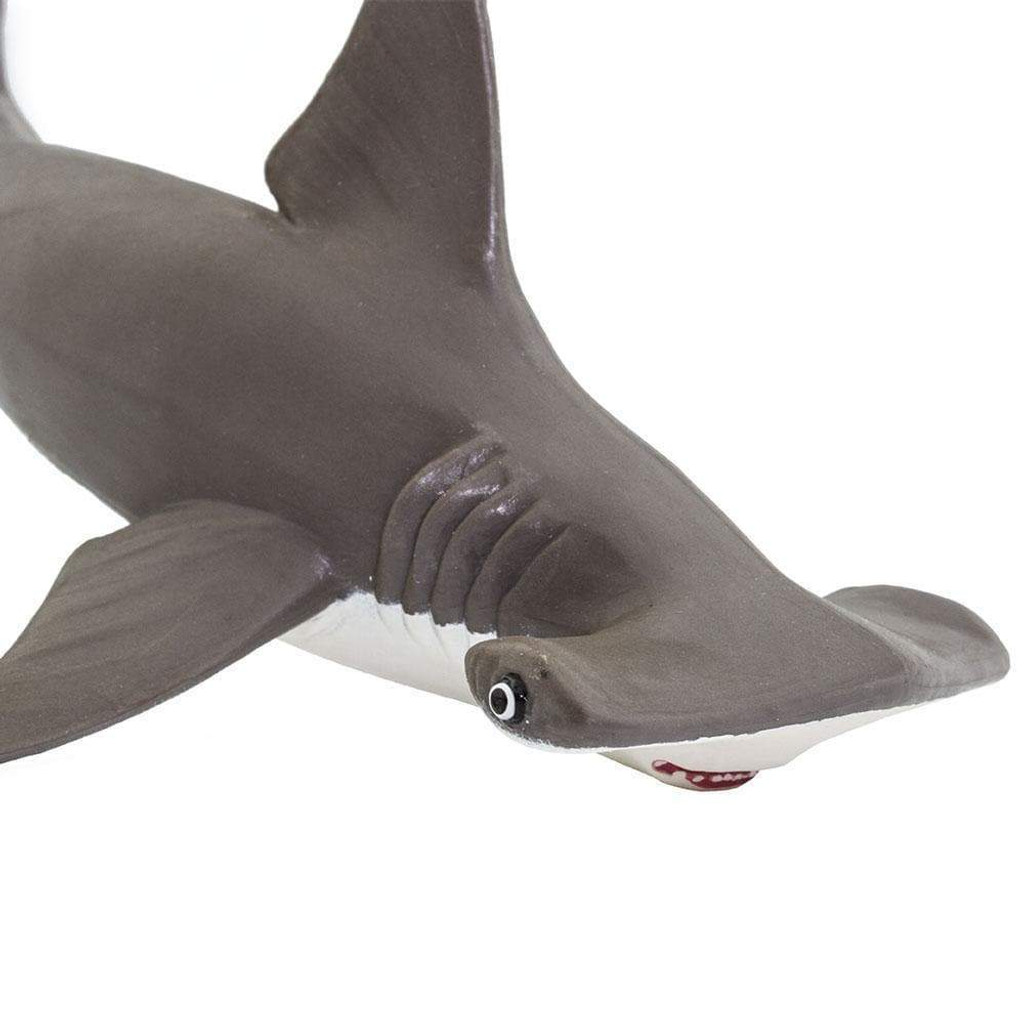 Safari Ltd Hammerhead Shark Baby IC