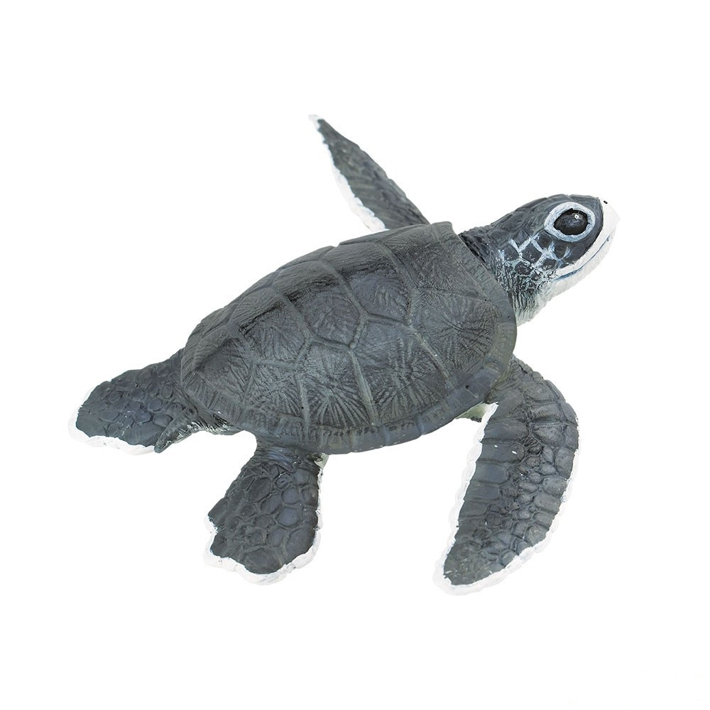 Safari Ltd Sea Turtle Baby IC