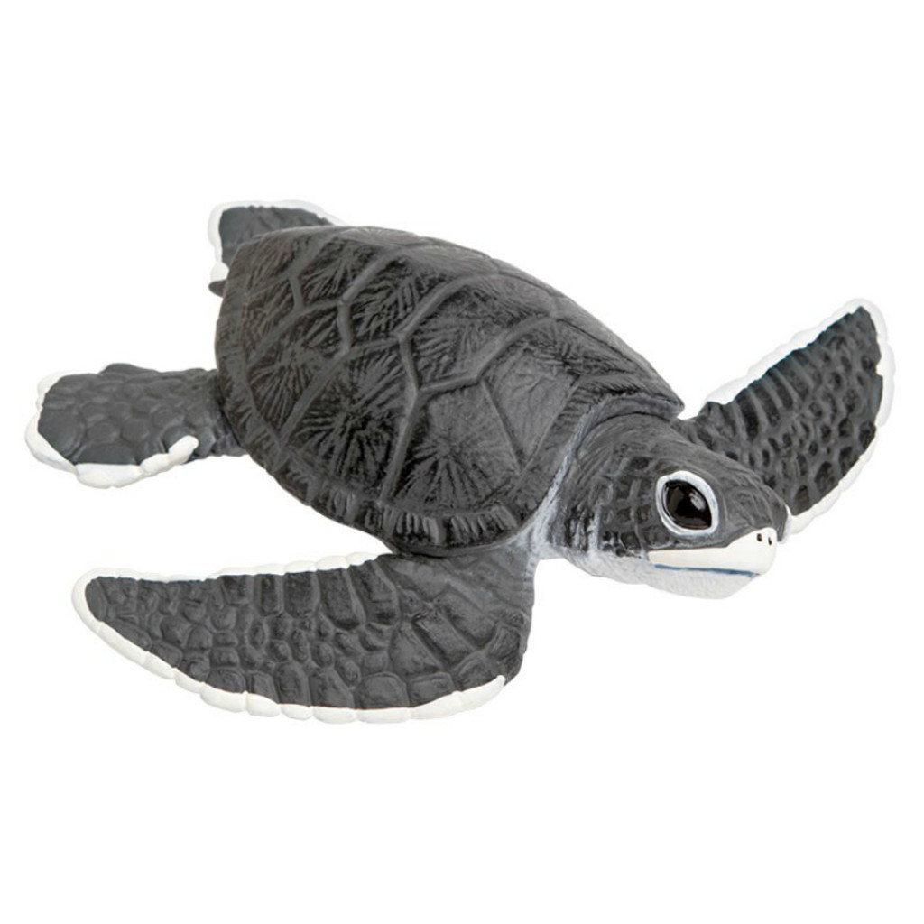 Safari Ltd Sea Turtle Baby IC