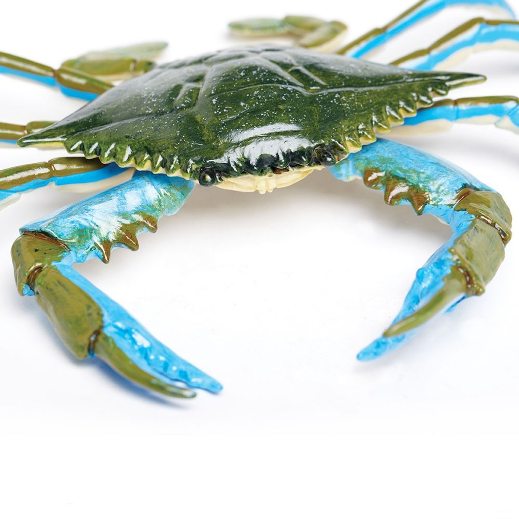 Safari Ltd Blue Crab IC