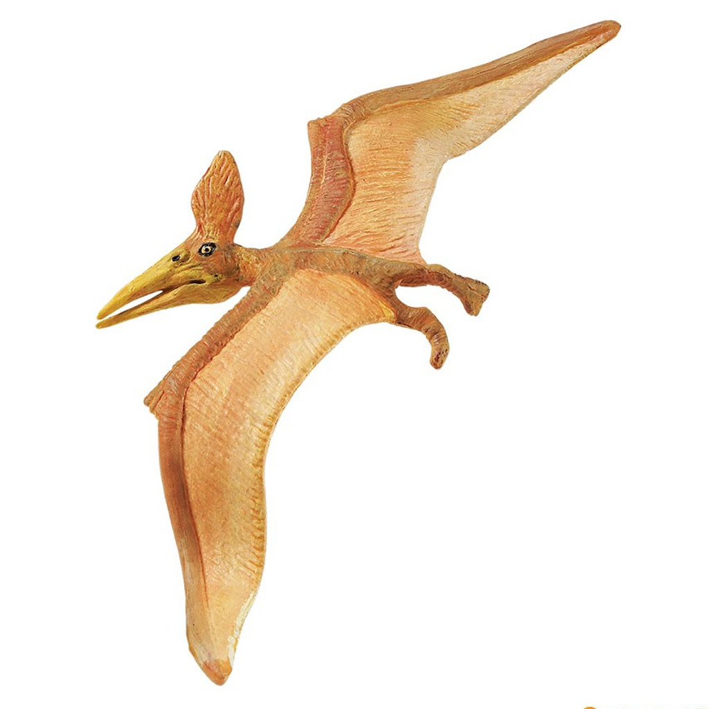 Safari Ltd Pteranodon