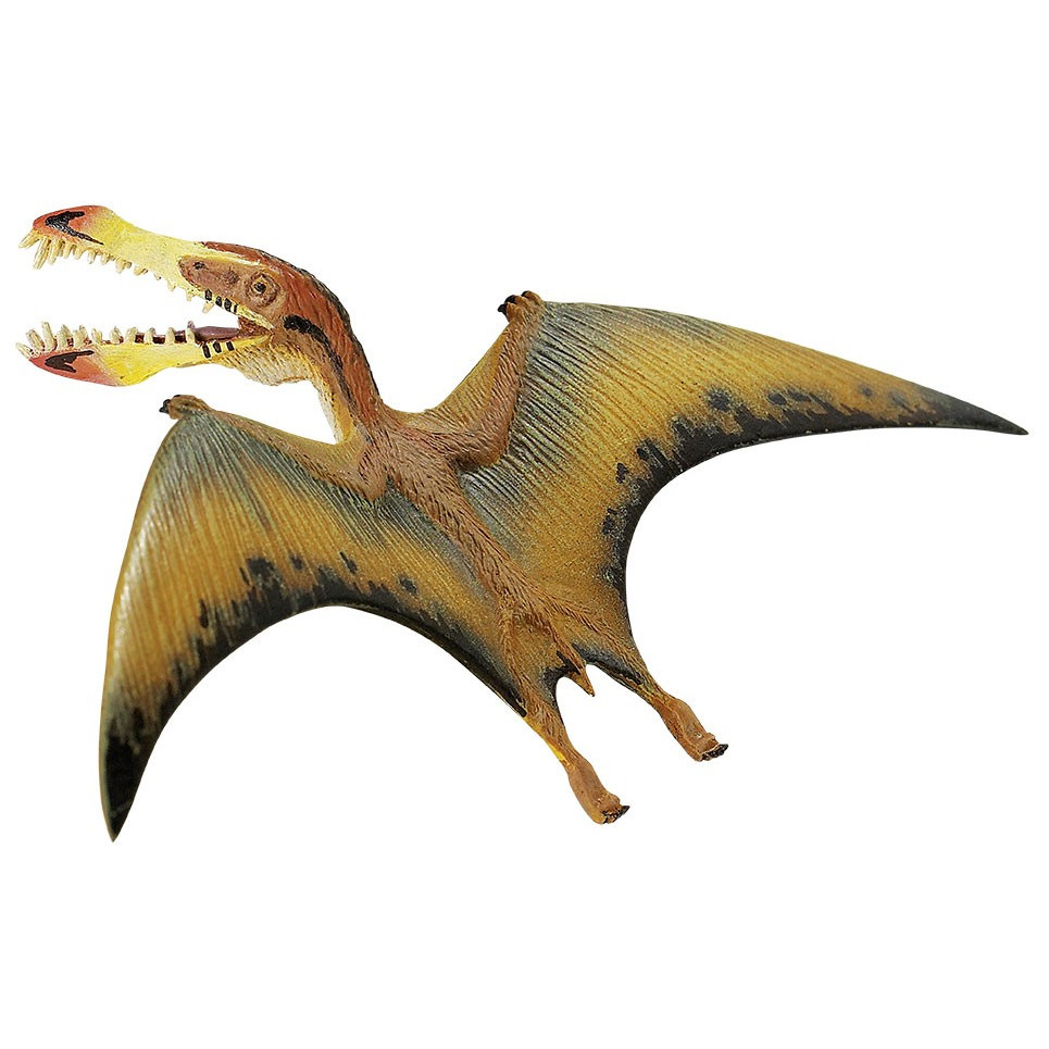 Safari Ltd Pterosaur