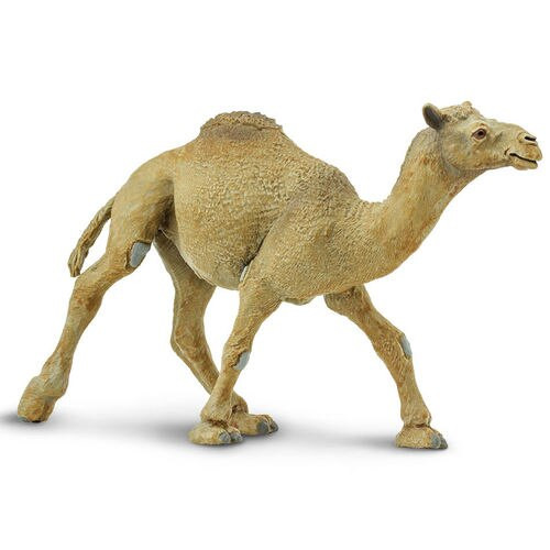 Safari Ltd Dromedary Camel