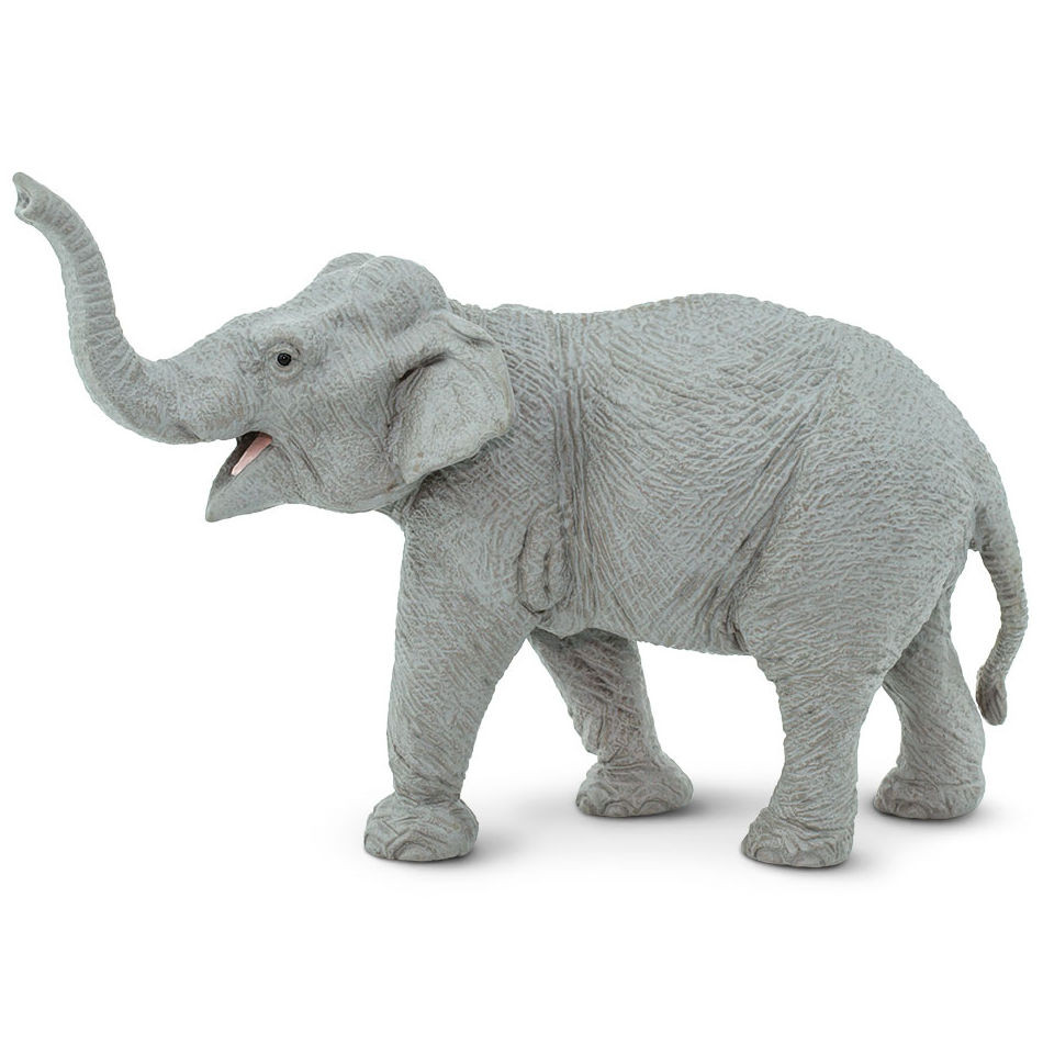 Safari Ltd Asian Elephant