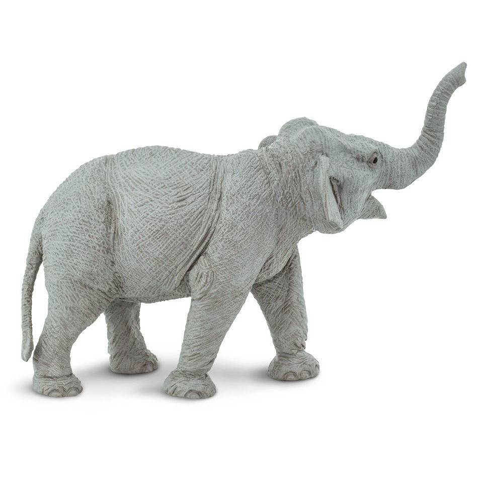 Safari Ltd Asian Elephant