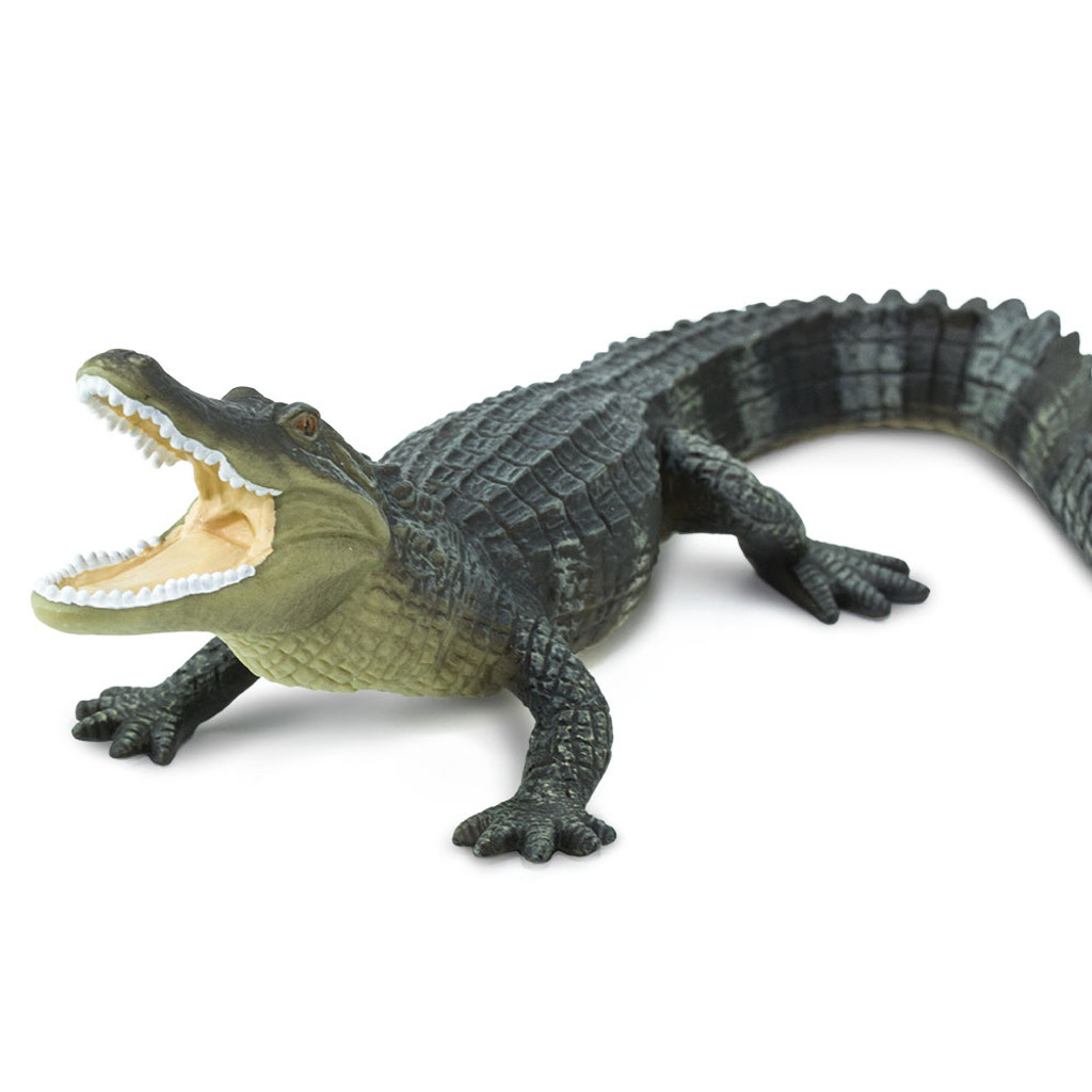 Safari Ltd Alligator