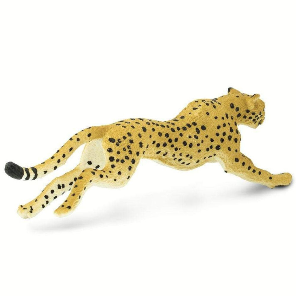 Safari Ltd Cheetah back