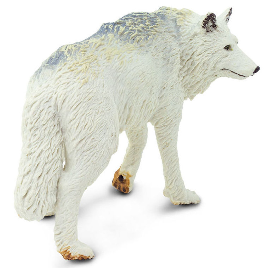 Safari Ltd Wolf White