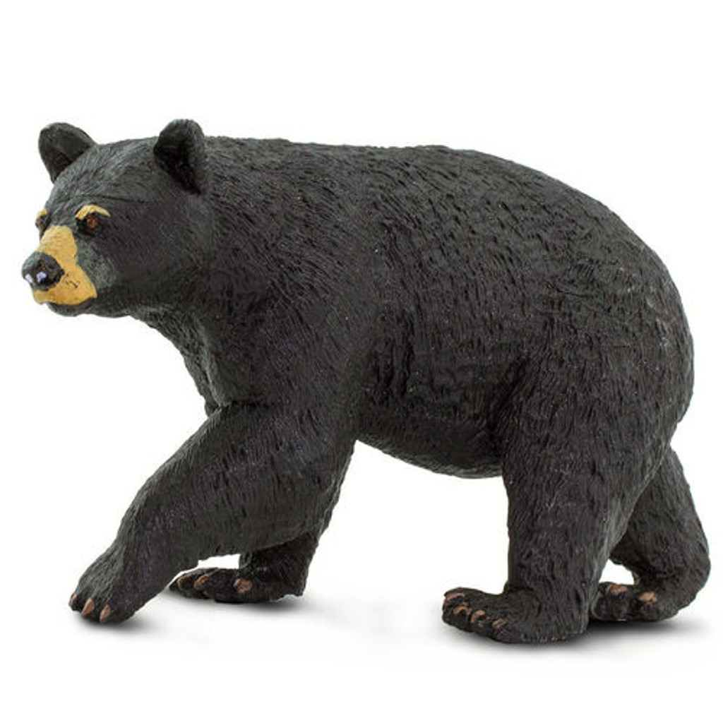 Safari Ltd Black Bear