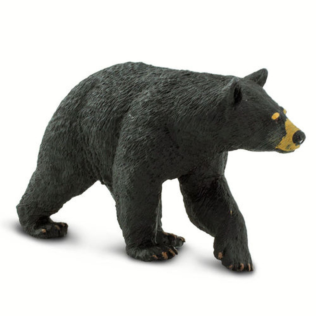 Safari Ltd Black Bear