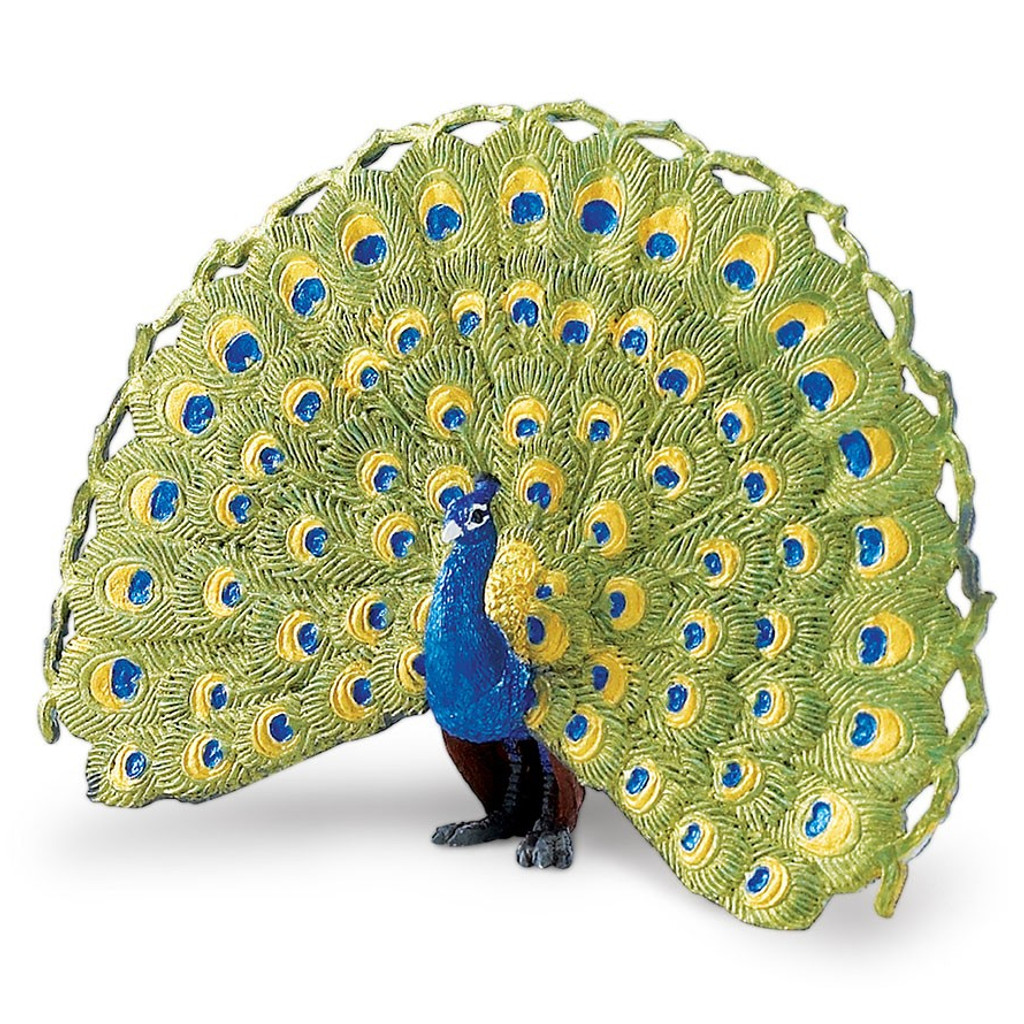 Safari Ltd Peacock
