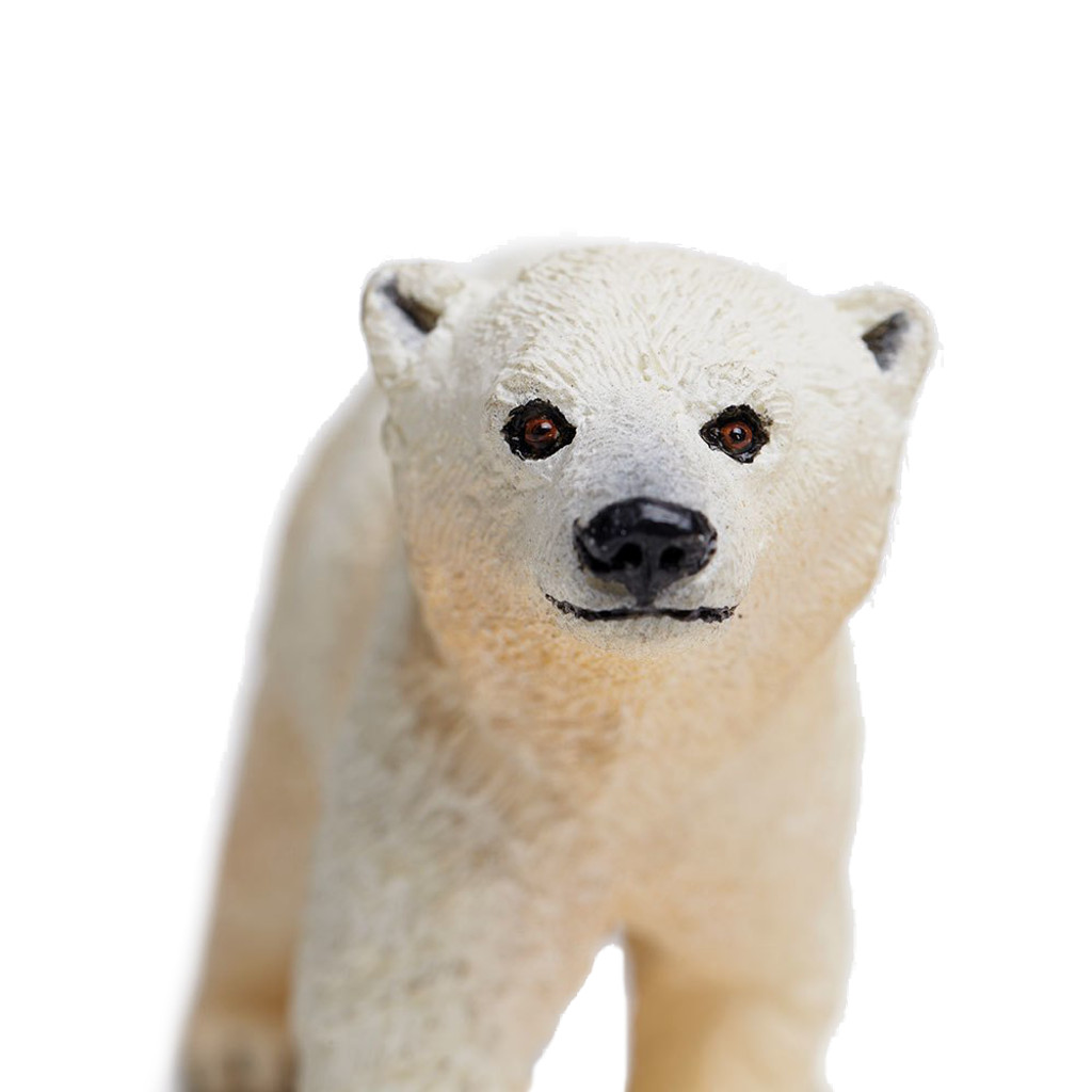 Safari Ltd Polar Bear Cub