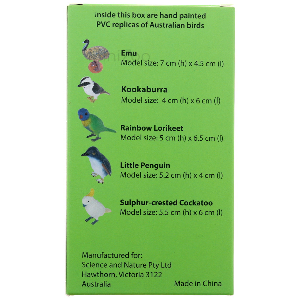 Science and Nature Box of Birds