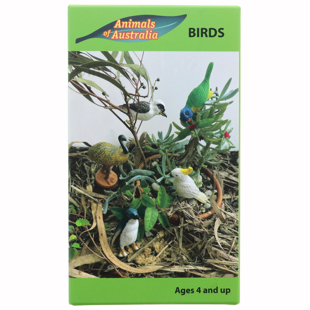 Science and Nature Box of Birds