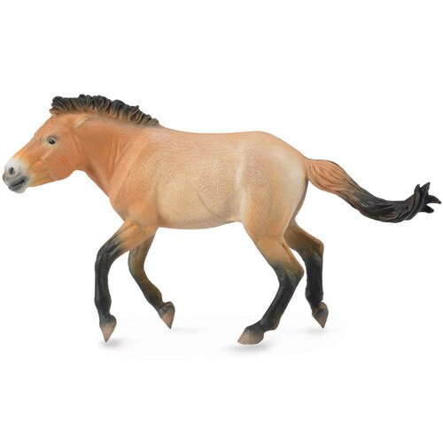 CollectA Przewalski Stallion