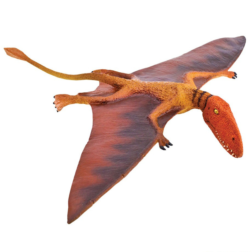 Safari Ltd Dimorphodon