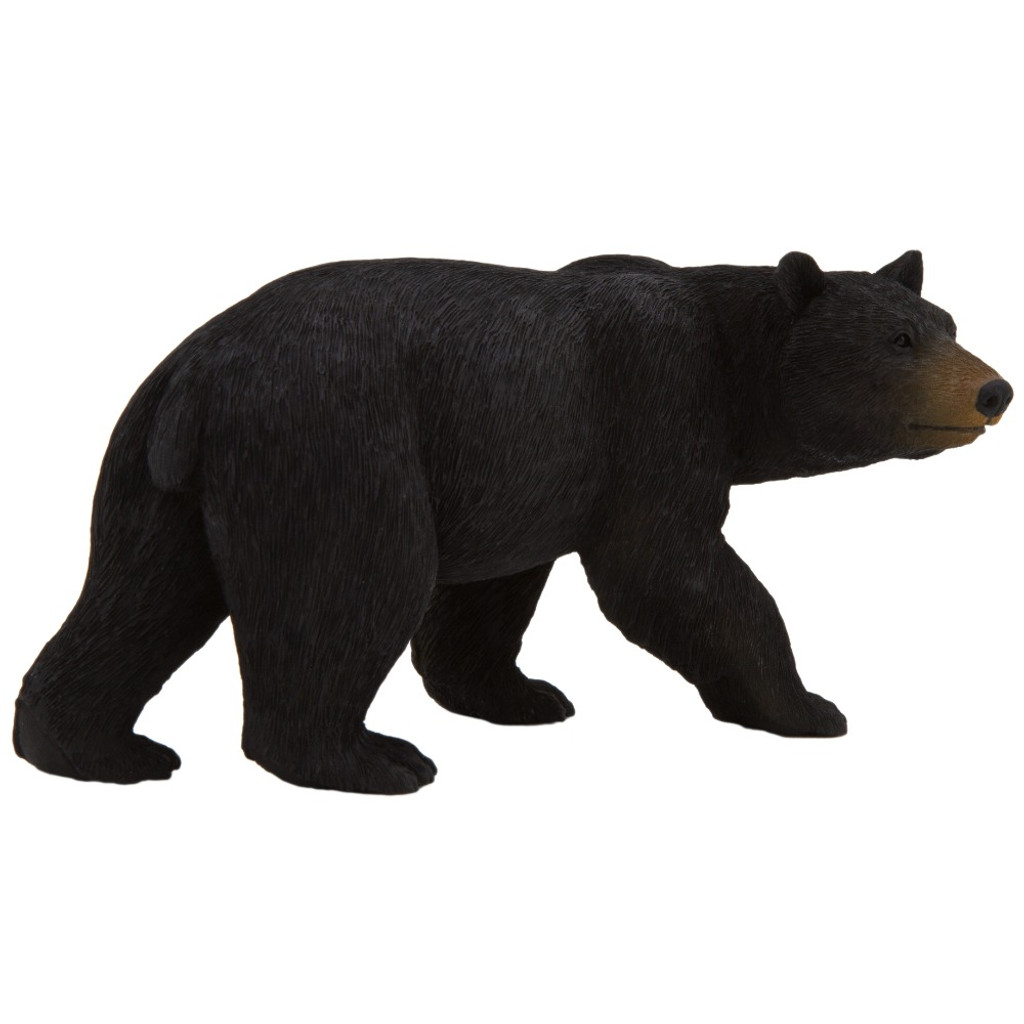 Mojo American Black Bear