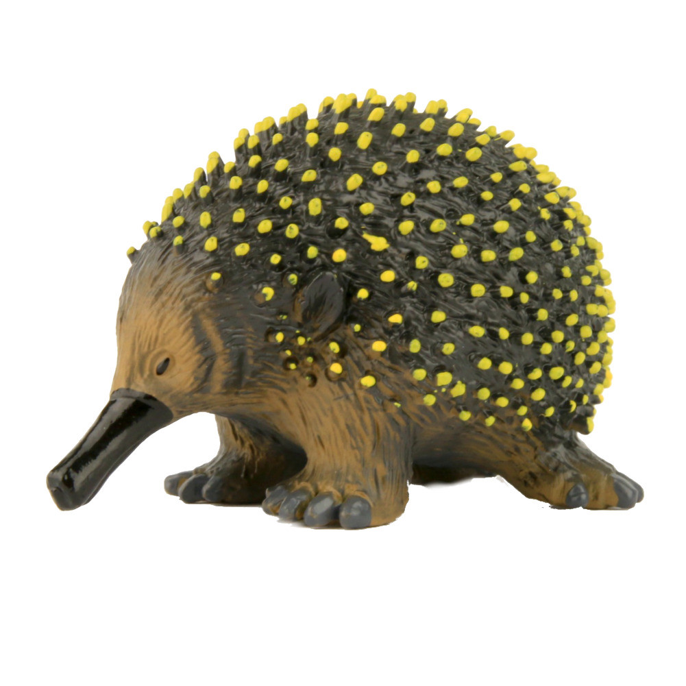 Science and Nature Small Echidna - MiniZoo