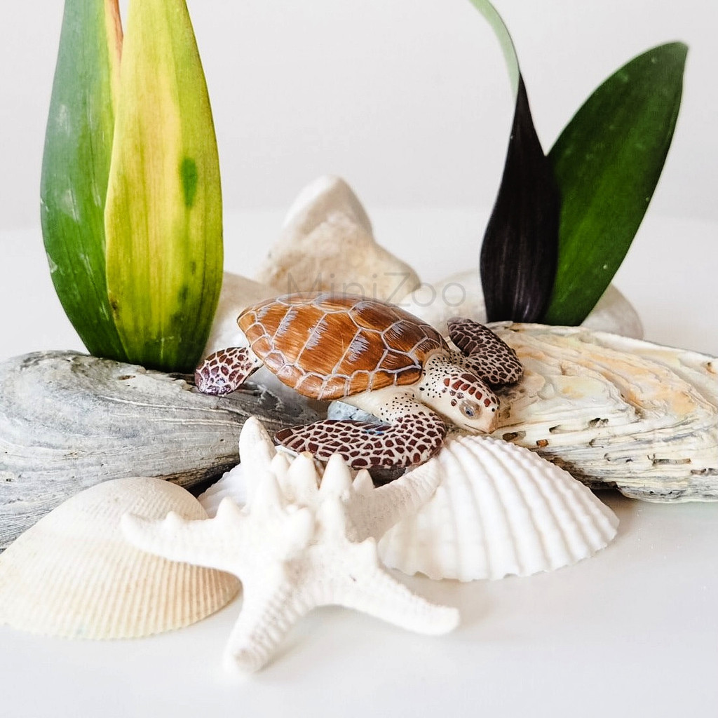 Papo Loggerhead Turtle