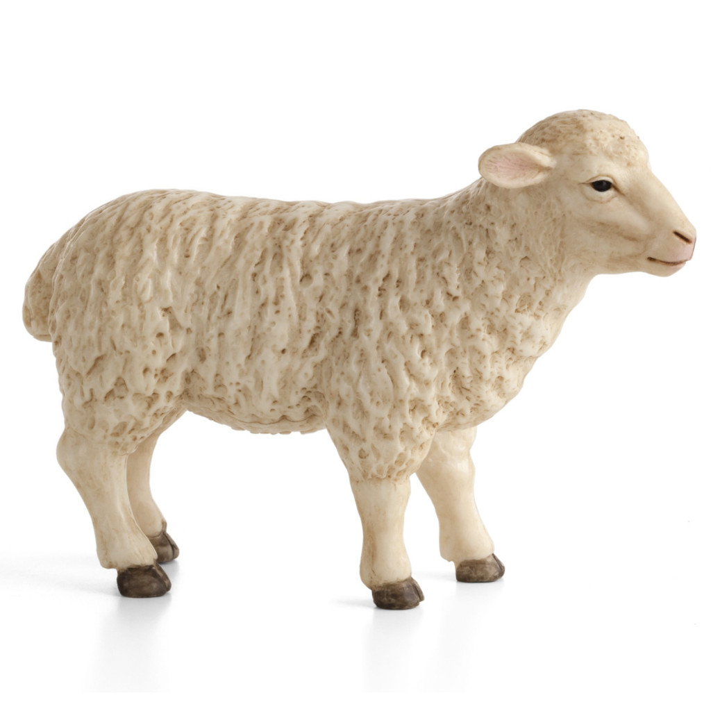 Mojo Sheep Ewe