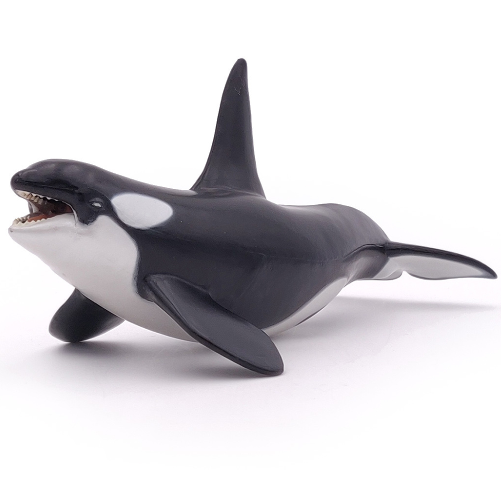 Papo Killer Whale