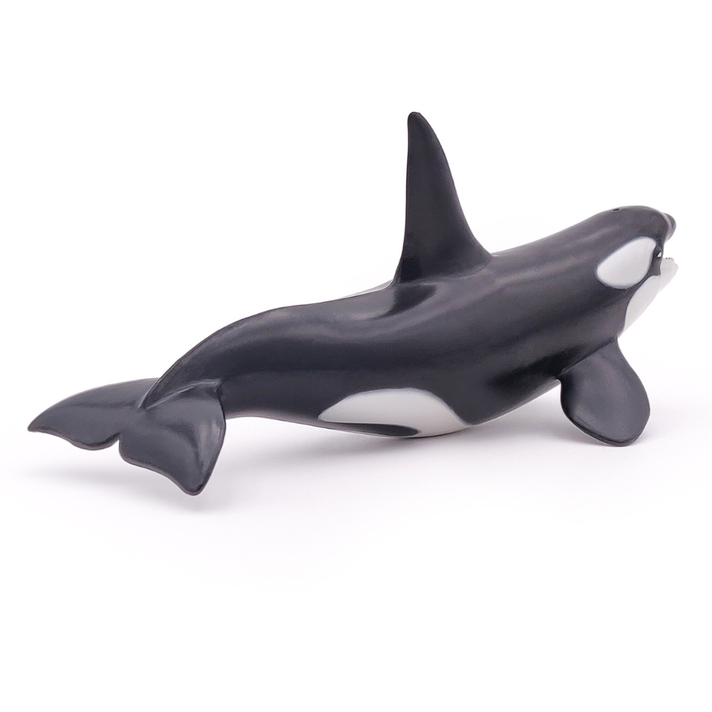 Papo Killer Whale