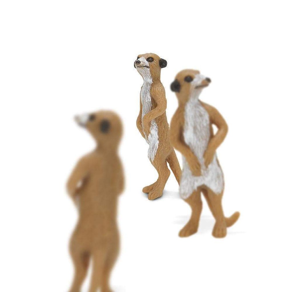 Safari Ltd Mini Meerkats